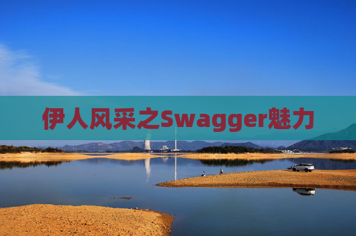伊人风采之Swagger魅力